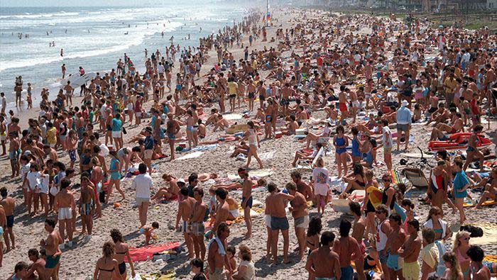 Shores Of Panama Beach Resort Condo Rentals 850 733 7761